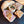 Laden Sie das Bild in den Galerie-Viewer, Lunch Fingerfood: 4 pikant + 1 süß